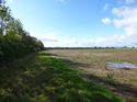 Thumbnail of Post exc field shots