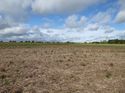 Thumbnail of Post exc field shots