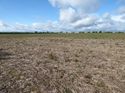 Thumbnail of Post exc field shots