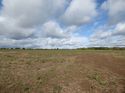 Thumbnail of Post exc field shots