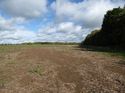 Thumbnail of Post exc field shots