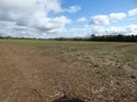 Thumbnail of Post exc field shots