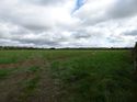 Thumbnail of Post exc field shots