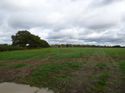 Thumbnail of Post exc field shots