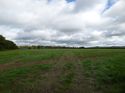 Thumbnail of Post exc field shots