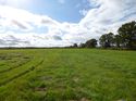 Thumbnail of Post exc field shots