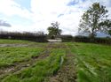 Thumbnail of Post exc field shots