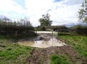 Thumbnail of Post exc field shots