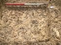 Thumbnail of Trench 365 ditch 365004 facing W