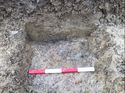 Thumbnail of Trench 381 tree throw section 381007 facing NE