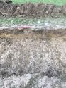 Thumbnail of Trench 3 ditch unexcavated 304 facing N