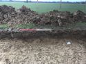 Thumbnail of Trench 370 furrow 370003 facing E