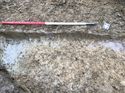 Thumbnail of Trench 128 furrow 128008 facing NW