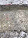 Thumbnail of Trench 131 ditch (unexcavated) 131004 facing N