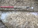 Thumbnail of Trench 128 pit 128006 facing NW