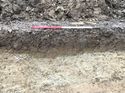 Thumbnail of Trench 379 furrow section 379004 facing NE