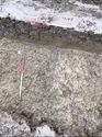Thumbnail of Trench 131 ditch (unexcavated) 131004 facing N