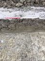 Thumbnail of Trench 131 ditch section (unexcavated) 131004 facing N