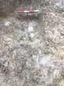 Thumbnail of Trench 130 ditch 13008 facing NW