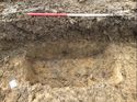 Thumbnail of Trench 381 tree throw section 381007 facing NE