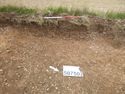 Thumbnail of Photo P1000549 Furrow 507502