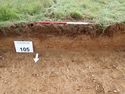 Thumbnail of Photo P8250019 Trench 105 representative section