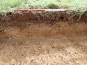 Thumbnail of Photo P8250020 Trench 105 representative section no board
