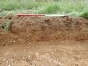 Thumbnail of Photo P8250032 Trench 104 representative section no board