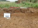 Thumbnail of Photo P8250038 Trench 103 representative section