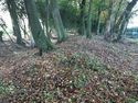Thumbnail of Photo 095013 undergrowth removed, ditch