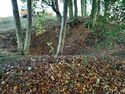 Thumbnail of Photo 095027 undergrowth removed, disturbance feature 1