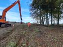 Thumbnail of Photo 095409 undergrowth removed, working shot