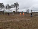 Thumbnail of Photo 105618 ongoing tree removal, working shot, 'protestors' present