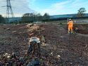 Thumbnail of Photo 112127 surveying of tree stumps