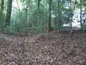 Thumbnail of Photo 115629 undergrowth removed 1