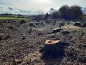 Thumbnail of Photo 122404 stumps across ditch and bank
