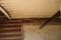 Thumbnail of View of timber plinth to concrete floor and gapping to the exterior