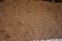 Thumbnail of WNW Facing Wall, Internal - Cob.