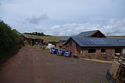 Thumbnail of Farmyard
