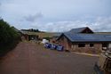Thumbnail of Farmyard