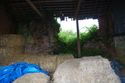 Thumbnail of General View, Internal.