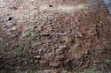 Thumbnail of Floor.