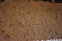 Thumbnail of WNW Facing Wall, Internal - Cob.