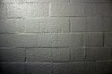 Thumbnail of Cell wall