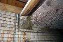 Thumbnail of Tunnel corbel