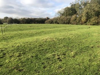 Image from Digital Archive for Archaeological Investigations at Avanti Fields School, Leicester, Leicestershire, 2019-2020