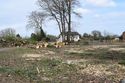 Thumbnail of White Cottage: Exterior West and South Elevations. Facing North-east.