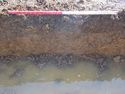 Thumbnail of Evaluation Area 3, Trench 12 W facing section at N end, 1M scale, view from W