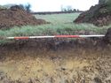 Thumbnail of Evaluation Area 3, Trench 20 W facing representative section, 2M scale, view from W