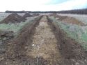 Thumbnail of Evaluation Area 3, Trench 19 plan view, 2M scale, view from SE